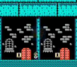 马里奥失踪记（美版）