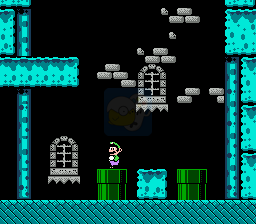 马里奥失踪记（美版）