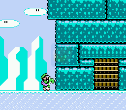 马里奥失踪记（美版）