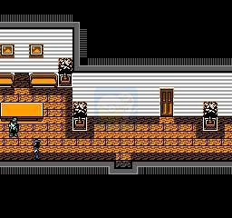 生化危机（中文版）