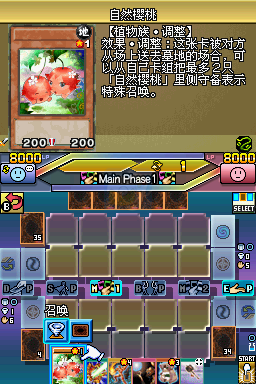 游戏王5D's 世界冠军大会2011 超越羁绊（卡片汉化版）