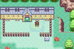 口袋妖怪大理石（美版）