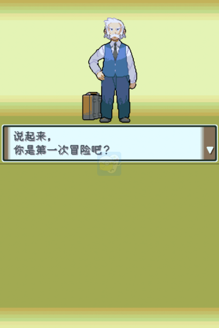 口袋妖怪白金493v3最终版（汉化版）