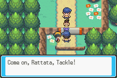 精灵宝可梦纪事(美版)