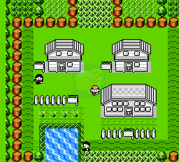 口袋妖怪红（中文版）