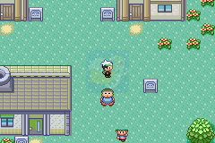 口袋妖怪 绿宝石（Awaixp简体汉化版）