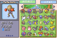口袋妖怪 绿宝石721 (完全汉化版)
