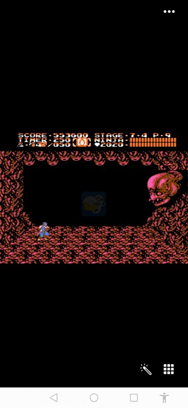 忍者龙剑传2hack 阿木一坑版（日版）