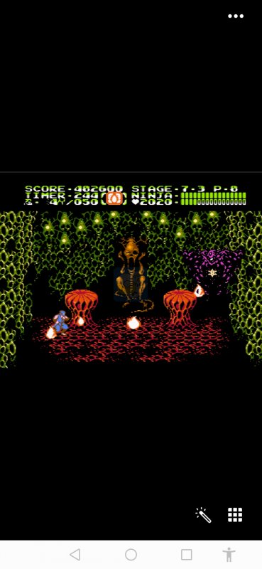 忍者龙剑传2hack 阿木一坑版（日版）