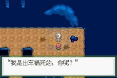 口袋妖怪 生与死只是一个选择（中文版）