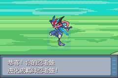 口袋妖怪 生与死只是一个选择（中文版）