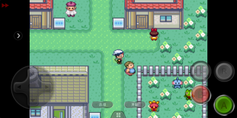 口袋妖怪 究极绿宝石Ⅱ.96 Destory Former（中文版）