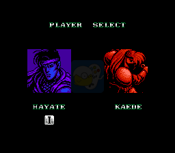 赤影战士刀锋（日版）