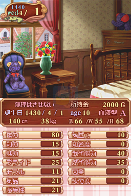 美少女梦工厂4 DS特别版（汉化版）