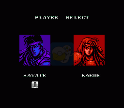 赤影战士 无敌版（美版）