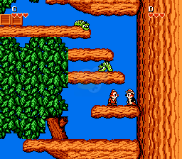 松鼠大作战（完美汉化版）