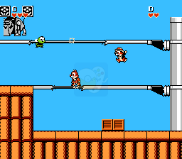 松鼠大作战（完美汉化版）