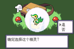 口袋妖怪 漆黑的魅影v5.0 无限可能（中文版）