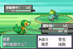 口袋妖怪 漆黑的魅影v5.0 无限可能（中文版）