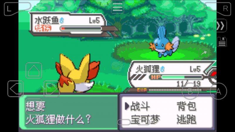 口袋妖怪究极绿宝石Ⅱ.96无经验EV（中文版）