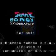 洛克人 桑尼·博诺的滑雪冒险（美版）