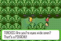 口袋妖怪命运红宝石2 护林救援队（美版）