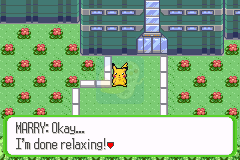 口袋妖怪命运红宝石2 护林救援队（美版）