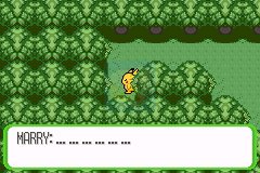 口袋妖怪命运红宝石2 护林救援队（美版）