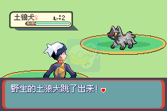 口袋妖怪 燃烧红宝石（汉化版）