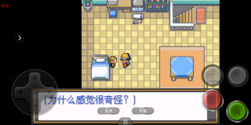 口袋妖怪 迷失夜4（中文版）