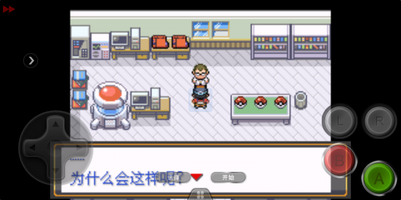 口袋妖怪 迷失夜4（中文版）