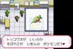 口袋妖怪 天津四（日版）