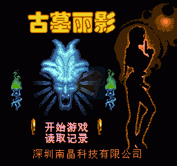 古墓丽影（中文版）