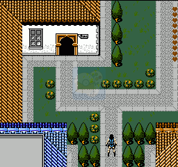 古墓丽影（中文版）