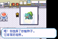 口袋妖怪叶绿（口袋群星SP简体汉化版）