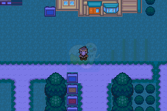 口袋妖怪 血影（汉化版）