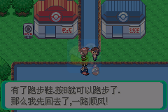 口袋妖怪 冰之冒险（中文版）