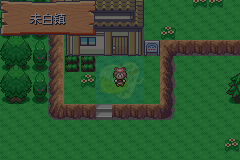 口袋妖怪 冰之冒险（中文版）