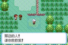 口袋妖怪 蛇纹木（汉化版）