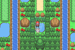 口袋妖怪永恒之焱zero 苍蓝（中文版）