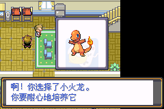 口袋妖怪 夙愿（中文版）