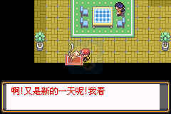 口袋妖怪 夙愿（中文版）