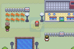 口袋妖怪 夙愿（中文版）