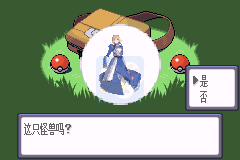 口袋妖怪 fate圣杯战争（汉化版）