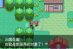 口袋妖怪 最强进化2.0（中文版）