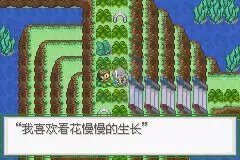 口袋妖怪 生或死（中文版）