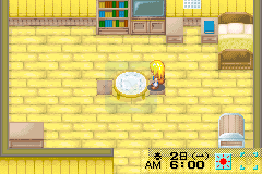 牧场物语（汉化女孩版）