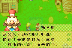 牧场物语（汉化女孩版）