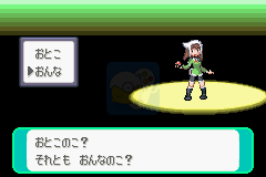 口袋妖怪 天狼星（日版）