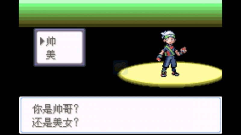 口袋妖怪 雪之白4.0（中文版）